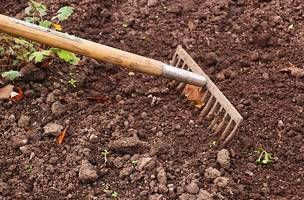 Dados da CPT apontam que Amazônia é principal foco de disputas (Foto: Pixabay)