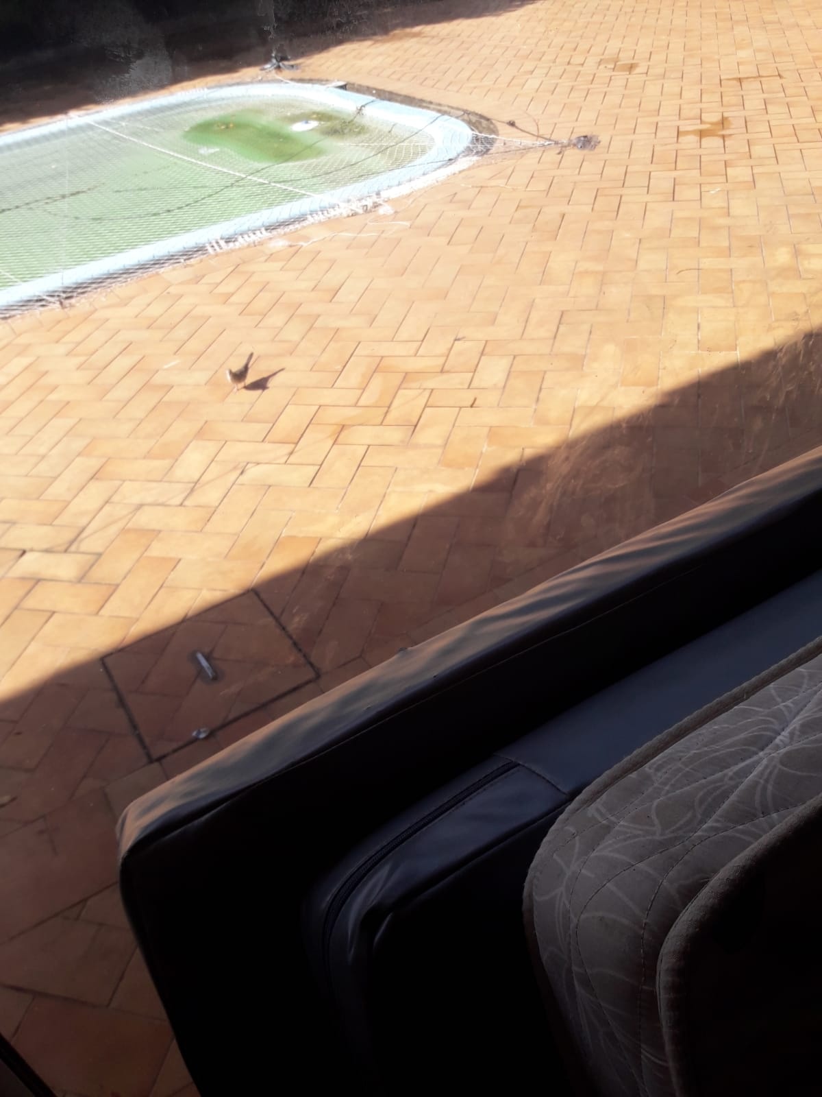 Funcionários temem por contaminação por causa de piscina abandonada