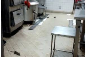 Imagens mostram ratos na cozinha do HGV e Ministério Público abre investigação (Foto: MPPI)