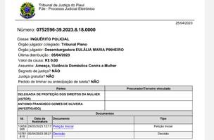 Juiz de Direito é acusado de agredir a ex-esposa no Piauí (Foto: Reprodução)