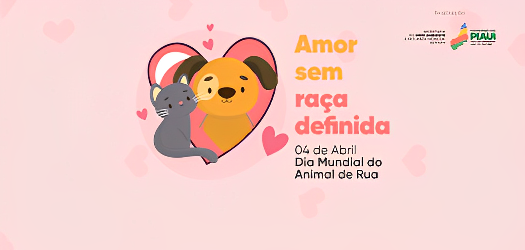 Os pets adotados vão receber atendimento veterinário gratuito