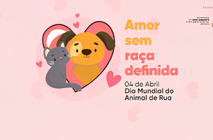 Os pets adotados vão receber atendimento veterinário gratuito (Foto: Reprodução)