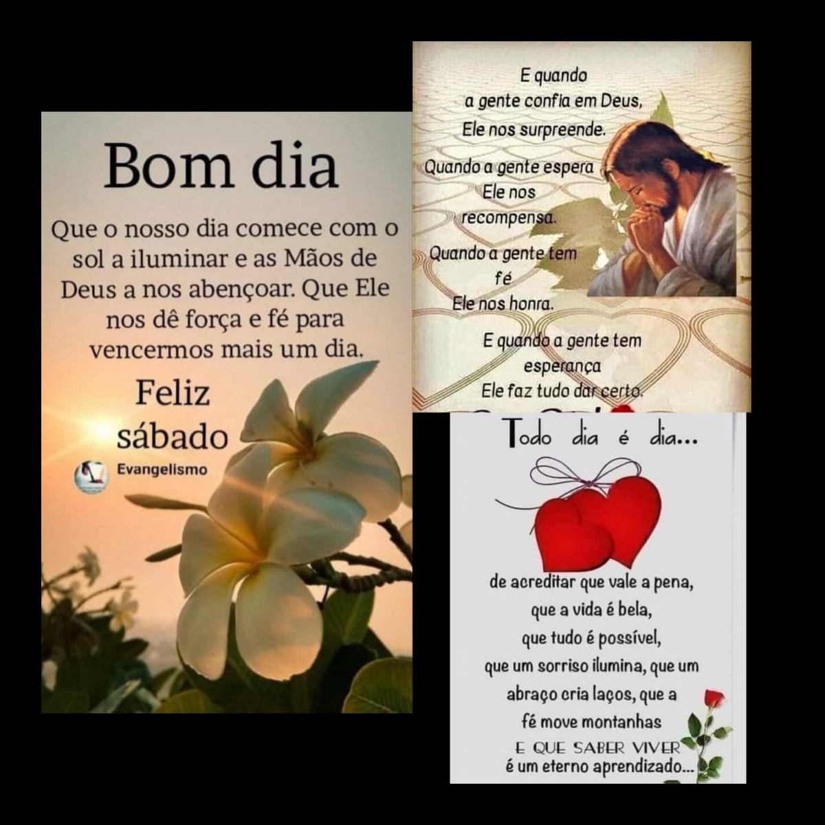 Pensamento do dia