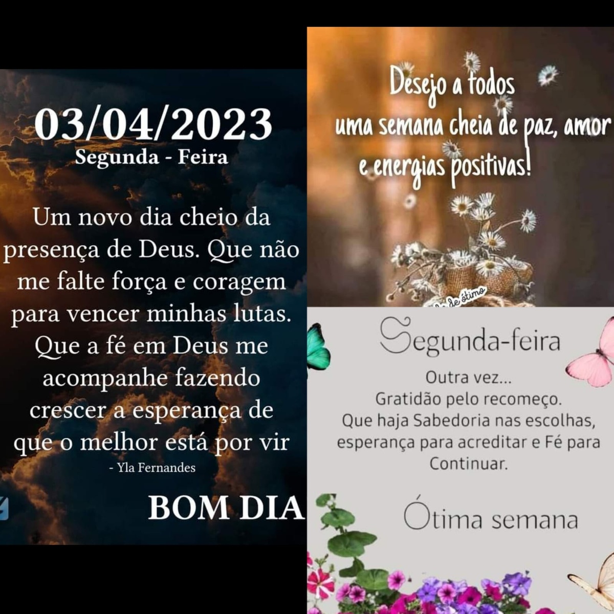 Pensamento do dia