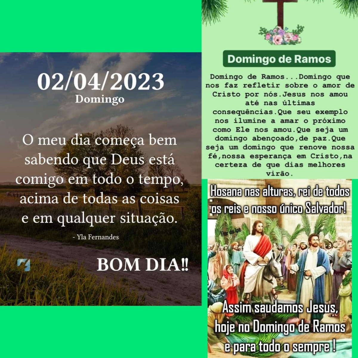 Pensamento do dia