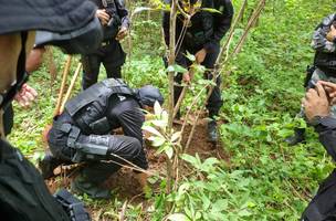 Polícia desarticula laboratório de drogas (Foto: Divulgação/PM)