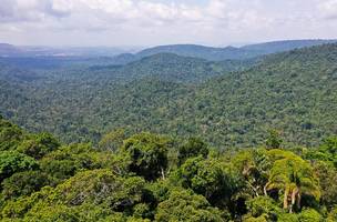 Amazônia (Foto: TV Brasil)