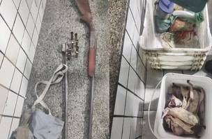 Arma e animais silvestres abatidos que foram apreendidos na ação (Foto: Divulgação)