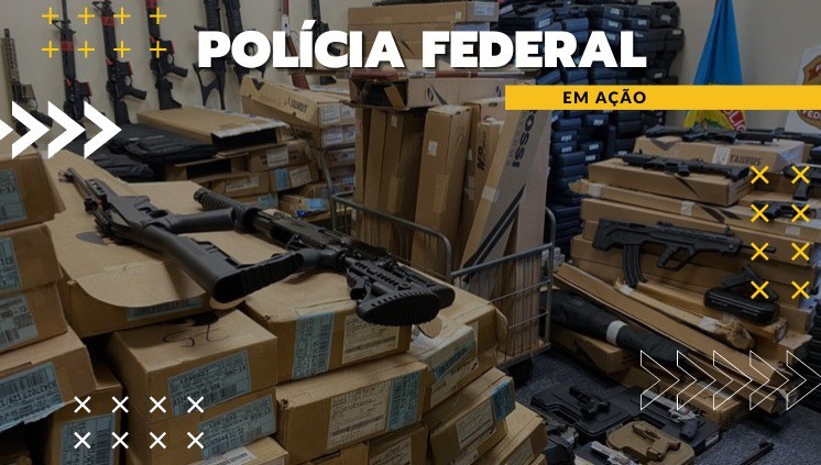 Armas de fogo apreendidas
