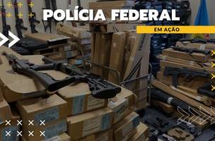 Armas de fogo apreendidas (Foto: Divulgação)