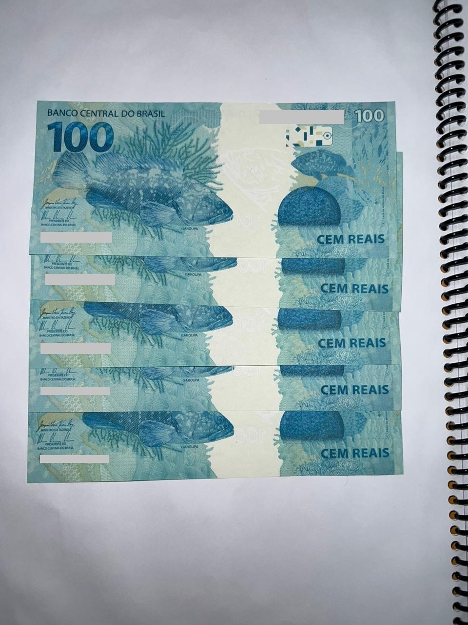 Cédulas Falsas