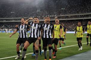 Com a vitória, o clube recuperou o topo do ranking no Brasileirão (Foto: Vítor Silva / Botafogo)