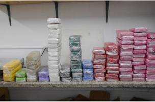 Droga apreendida em Teresina (Foto: Polícia Federa)
