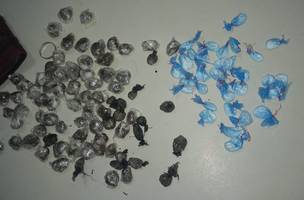 Entorpecentes apreendidos com os suspeitos (Foto: PM)
