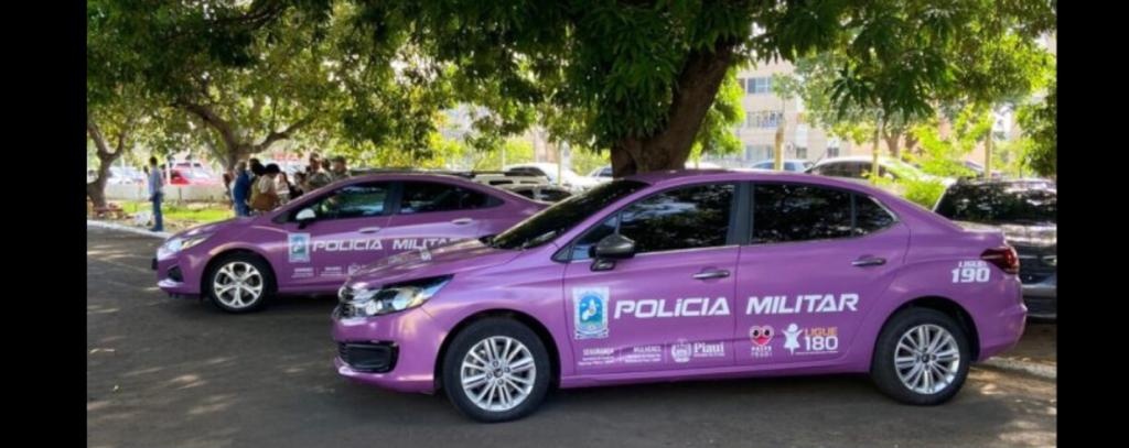 Era num carro desses que a polícia deveria ter conduzido o agressor da estudante Victoria. Afinal, segundo Chico aplicas, o lilás não é a cor para combater feminicídio?