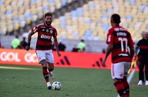 Flamengo perde para o Botafogo (Foto: Foto: Gilvan de Souza / CRF)