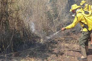 Incêndio (Foto: Luiz Henrique Machado/Governo do Tocantins/Divulgação)