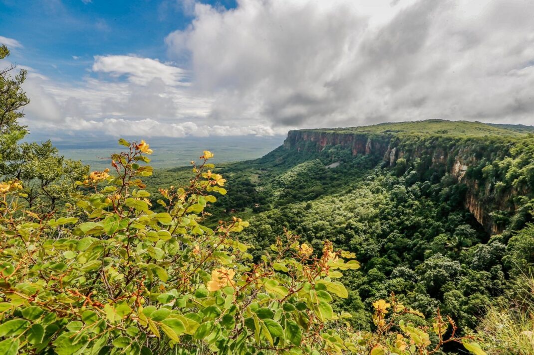 Morro do Gritador