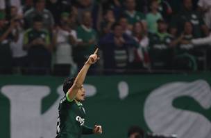 O Verdão assumiu a liderança do Brasileiro (Foto: Cesar Greco / Palmeiras)