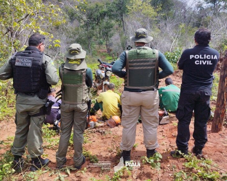 Operação Cerrado Vivo