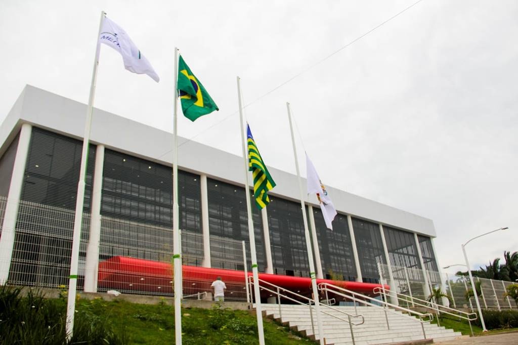 paternidade