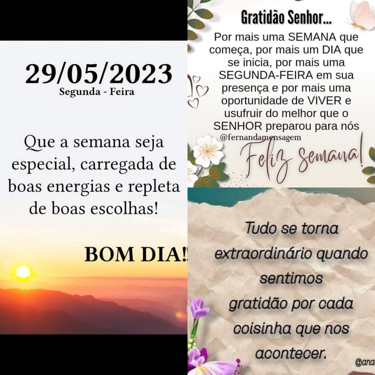 Pensamento do dia