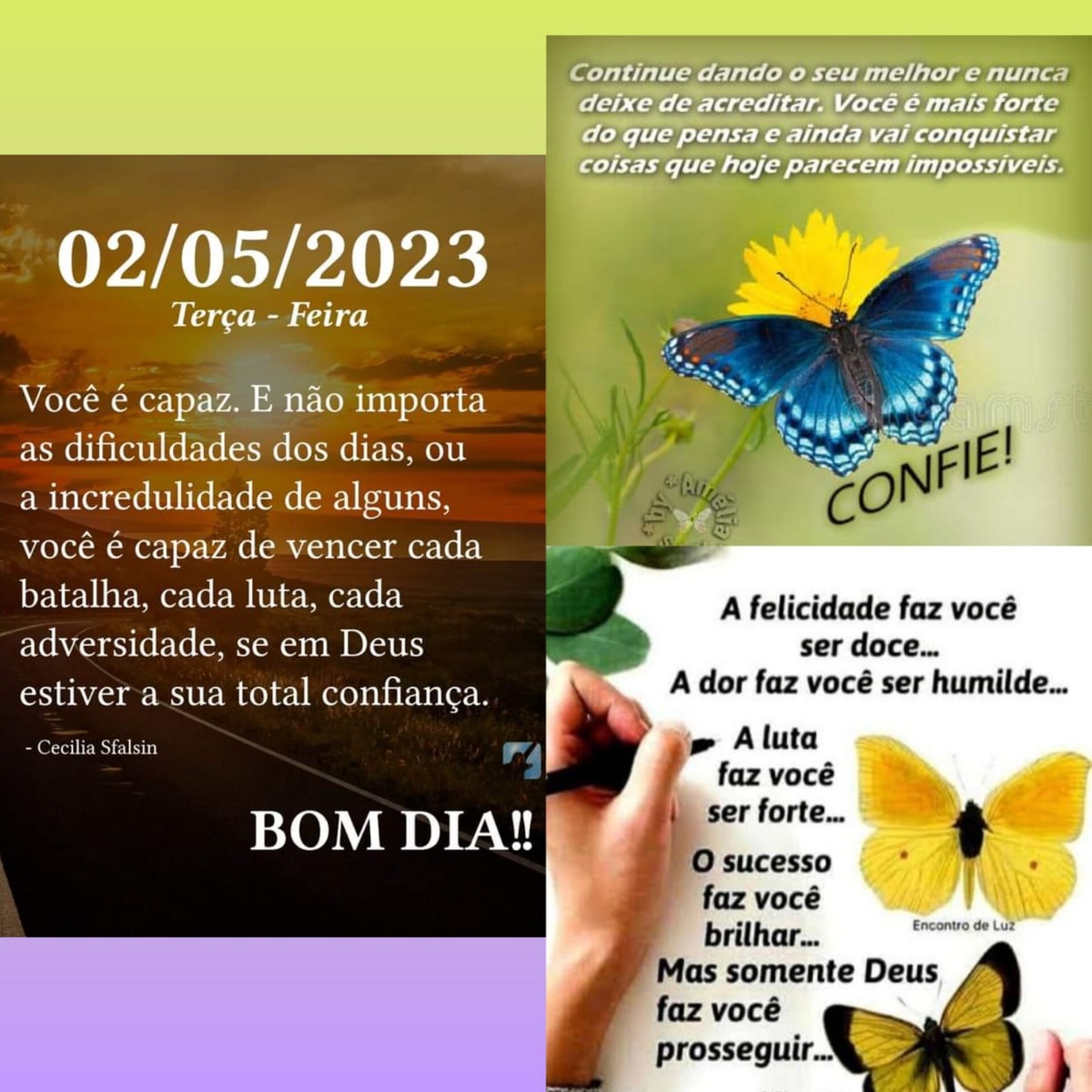 Pensamento do dia