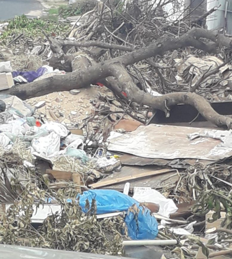 Prefeitura de Teresina finge não ver lixos espalhados nas ruas