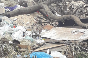 Prefeitura de Teresina finge não ver lixos espalhados nas ruas (Foto: Carlos Gomes)
