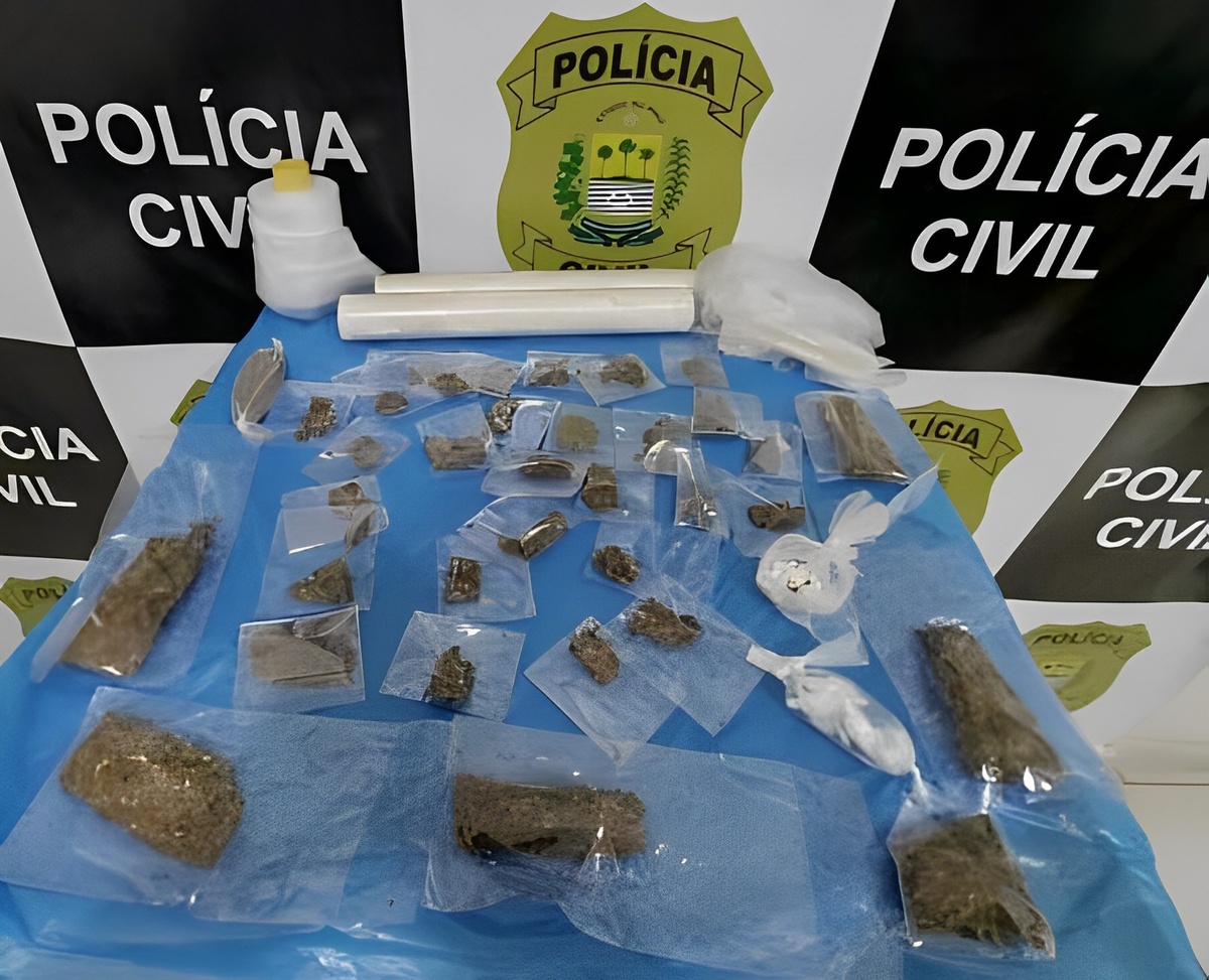 A polícia encontrou drogas em duas das residências vistoriadas