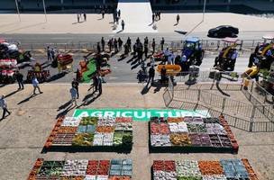 Agricultura Familiar (Foto: Reprodução/PR)