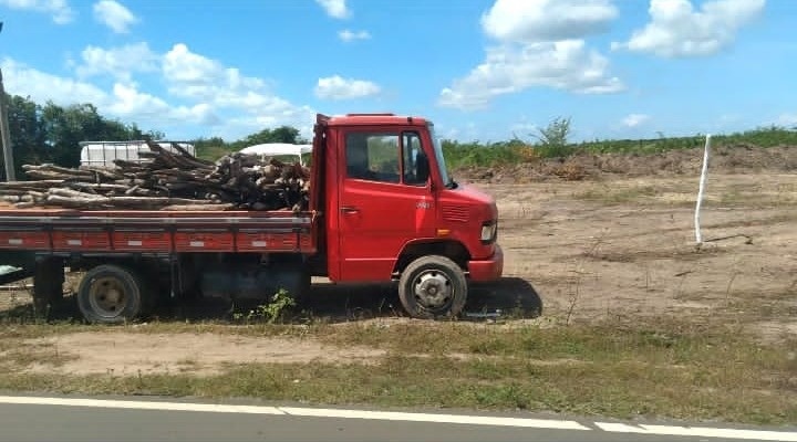 Grilagem de terra no litoral do Piauí