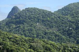 Mata Atlântica (Foto: Tomaz Silva/Agência Brasil)