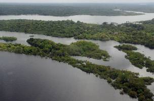 Narcotráfico potencializa destruição ambiental e violação de direitos (Foto: Agência Brasil)