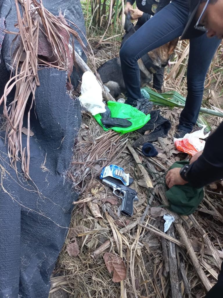 Operação "São Jorge" resulta na apreensão de armas, drogas e prisão em Teresina