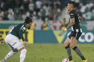 Palmeiras recebe Botafogo no grande jogo da 12ª rodada do Brasileiro (Foto: Vítor Silva/Botafogo)