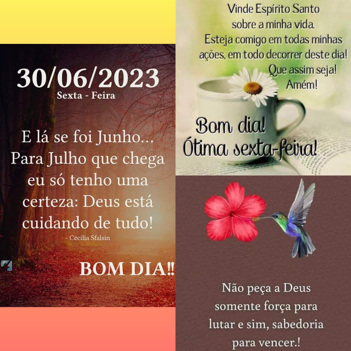 Pensamento do dia