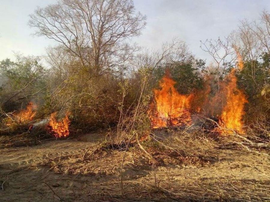 Foco de incêndio