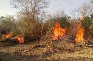 Foco de incêndio (Foto: Reprodução)