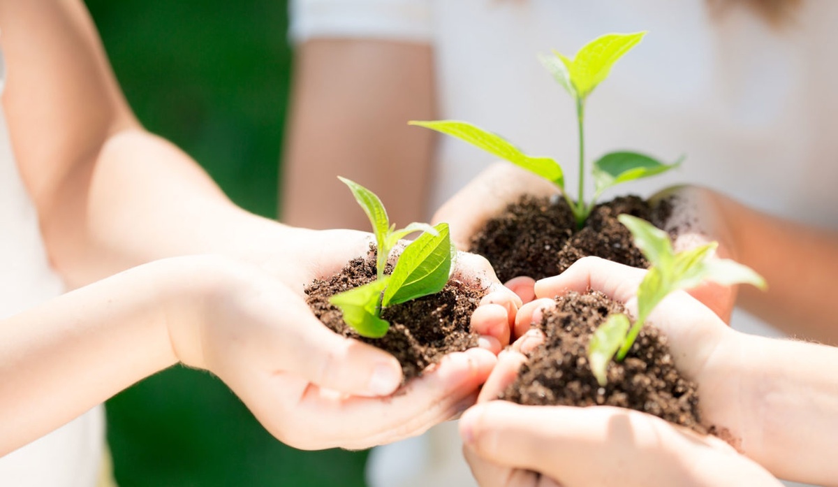 Gestão ambiental nos espaços sociais