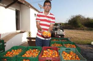 Josenilto Lacerda, cajucultor (Foto: Reprodução)