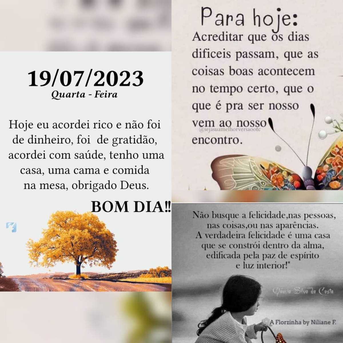 Pensamento do dia