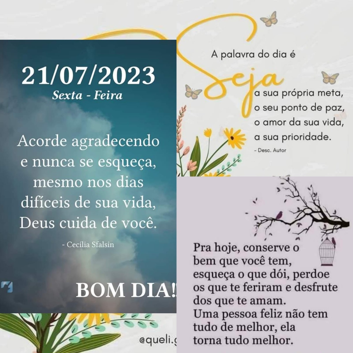 Pensamento do dia