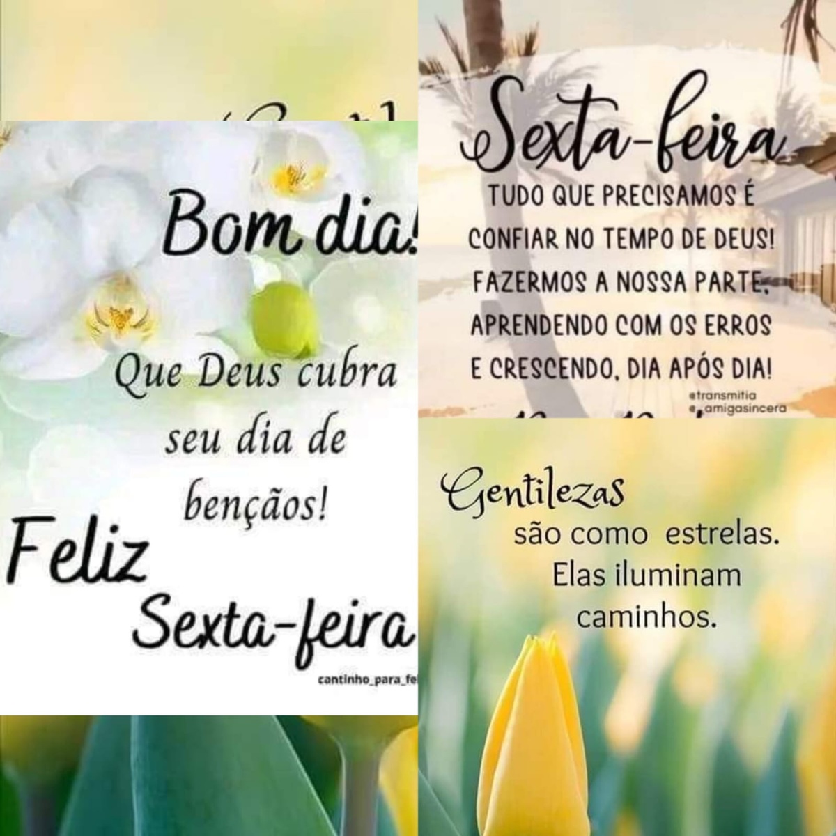 Pensamento do dia