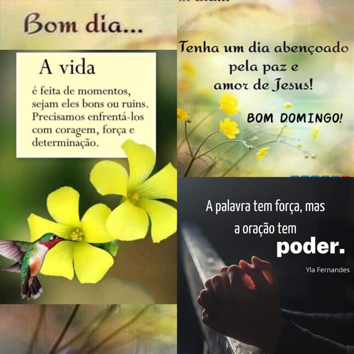 Pensamento do dia