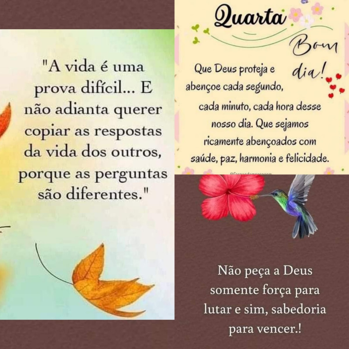 Pensamento do dia