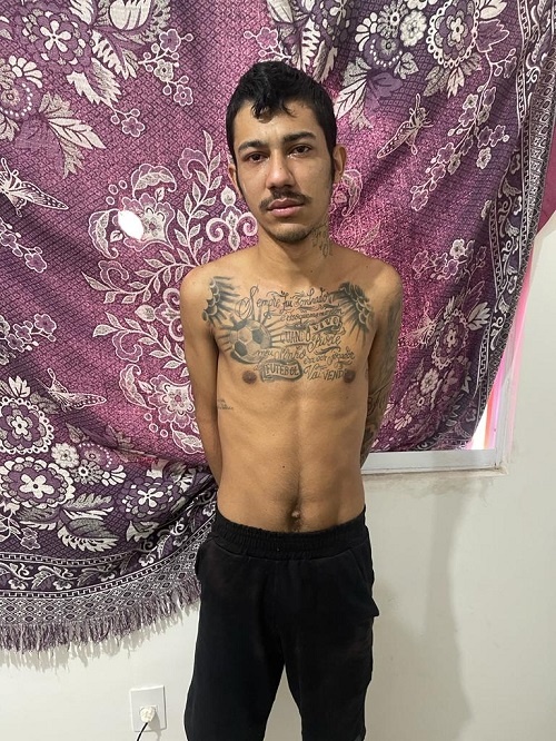 Suspeito Preso