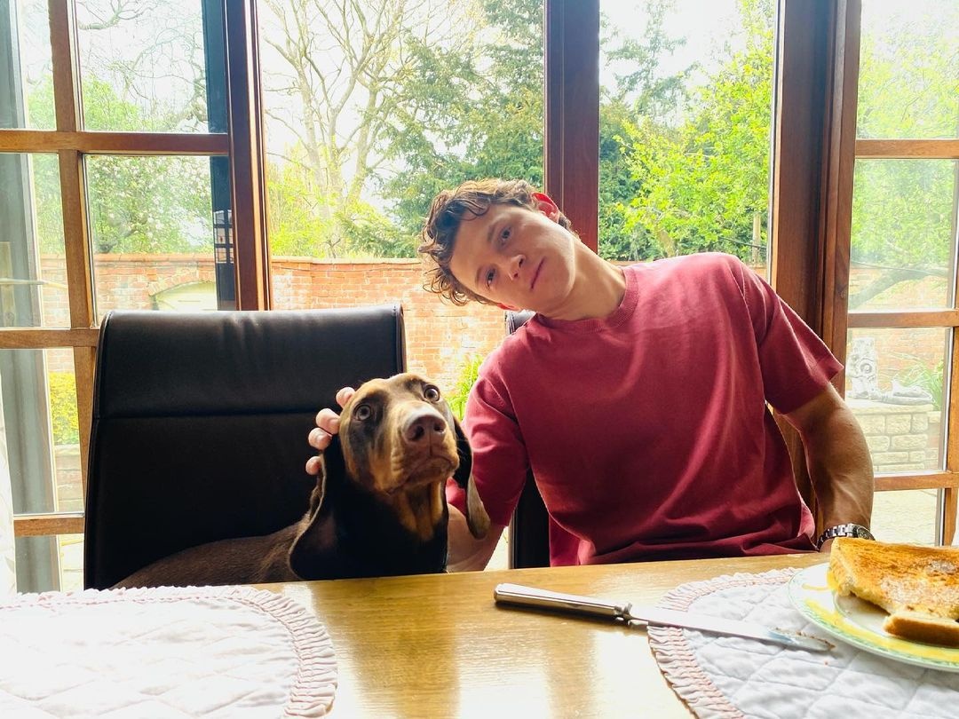 Tom Holland