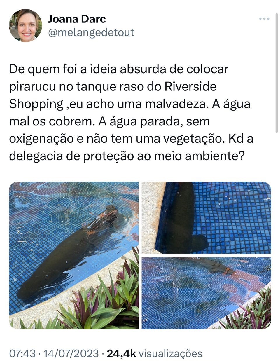 Twitter