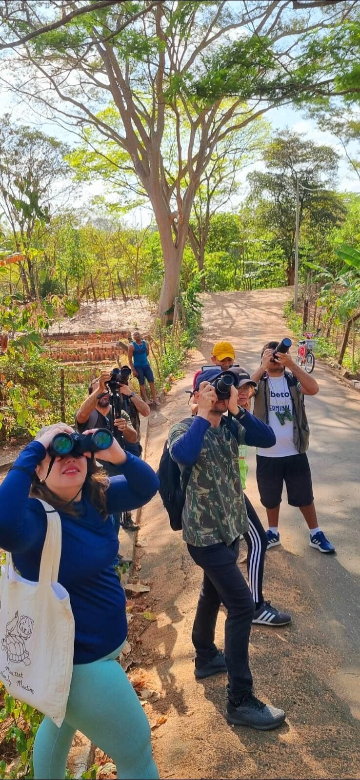 Bora Passarinhar Teresina